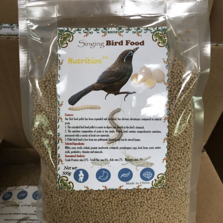 Thrushes Bird Feeds best Thrushes Bird Feeds best